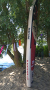Reefline Blacktip 10'6 SUP Board Compleet pakket – MSL Double Layer & 3 Jaar Garantie